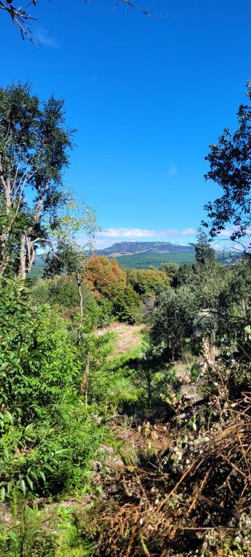 3 Bedroom Property for Sale in Hogsback Eastern Cape